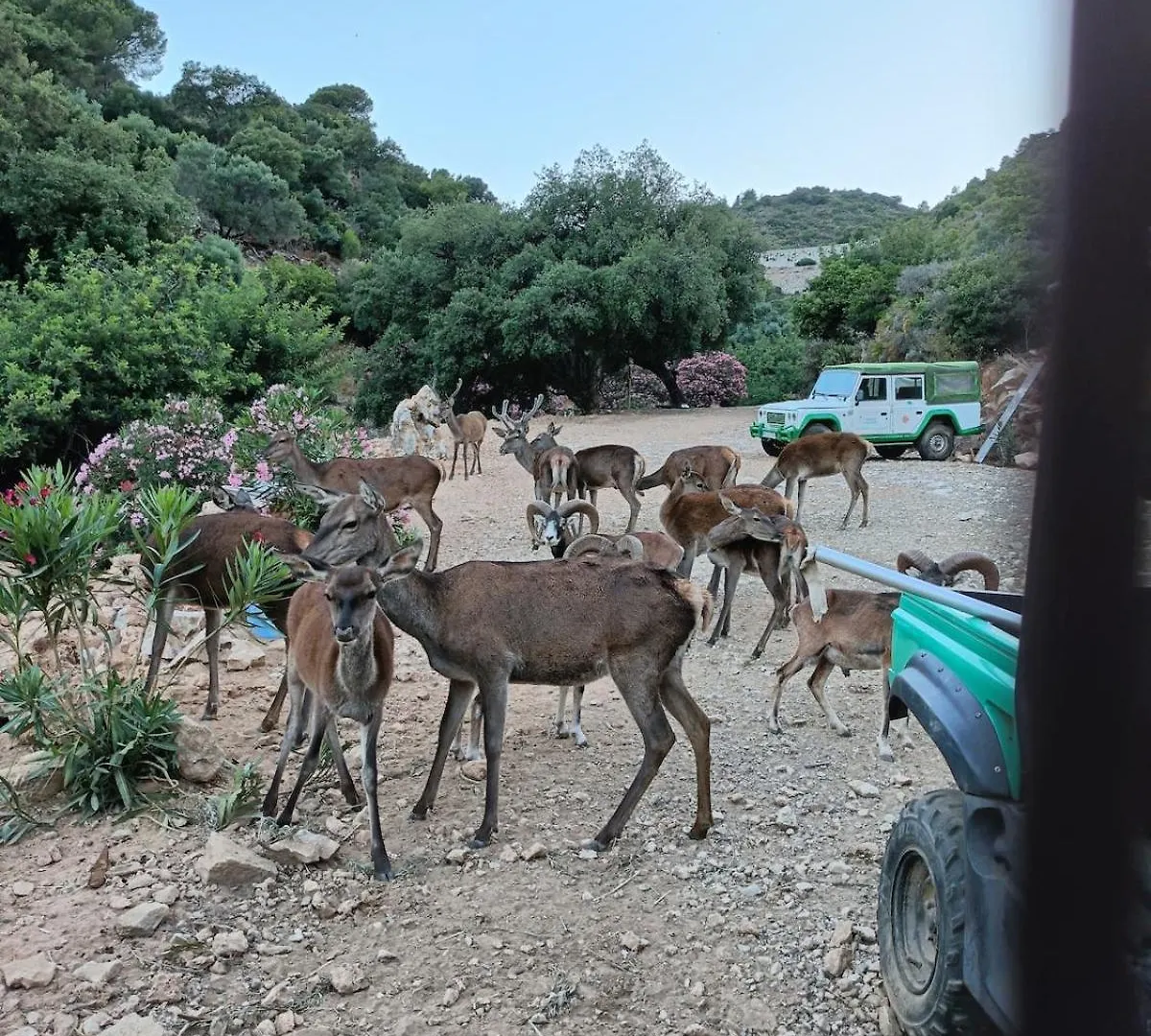 Villa Maria, Mas Que Pernoctar Ojen Holiday home
