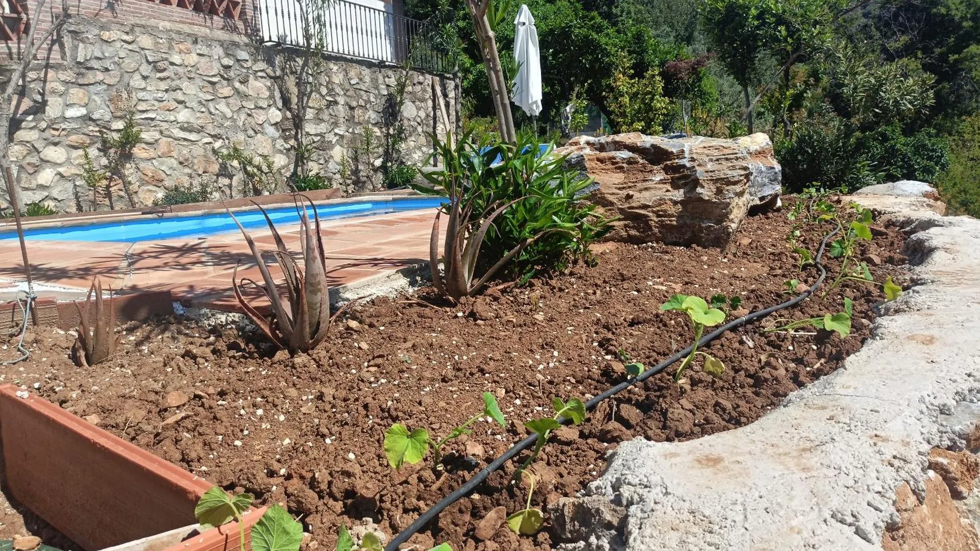 Villa Maria, Mas Que Pernoctar Ojen Holiday home