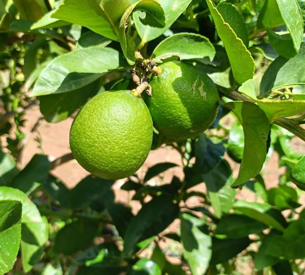 בית נופש Ojén Villa Maria, Mas Que Pernoctar